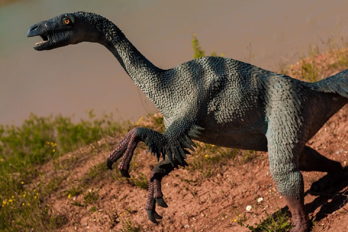 Dinosaur, birds, Fossil, Extinct