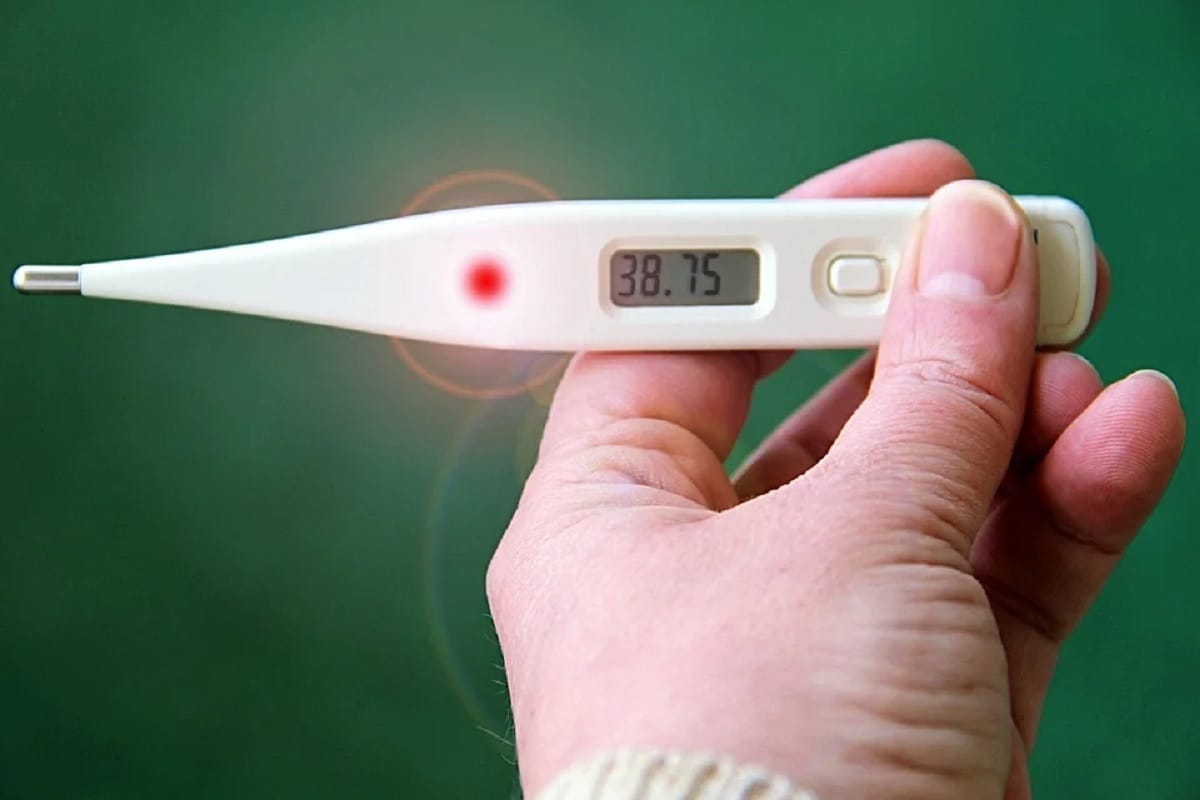 Fever, disease, Human body, Immune system,