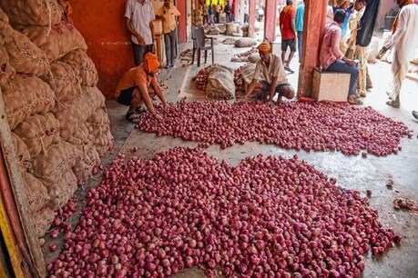 एशिया की सबसे बड़ी सब्जी मंडी आजादपुर में प्याज का थोक भाव 40 से 50 रुपये किलो है. वहीं न्यूनतम भी 35 रुपये किलो दर्ज किया गया.