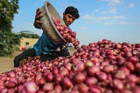 दिवाली से पहले प्याज आयात किये जाएंगे