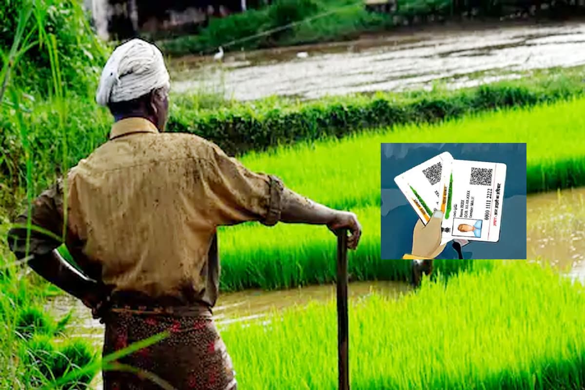 PM Kisan Samman Nidhi Scheme, ministry of agriculture, modi government, pm kisan yojana scam, Pm Kisan Registration And Correction, New Farmer Registration Form, PM Kisan status, प्रधानमंत्री किसान सम्मान निधि स्कीम, पीएम किसान स्टेटस, पीएम किसान ऑनलाइन रजिस्ट्रेशन और सुधार, पीएम किसान स्कीम में रजिस्ट्रेशन कैसे करें, पीएम किसान योजना में घोटाला, कृषि मंत्रालय