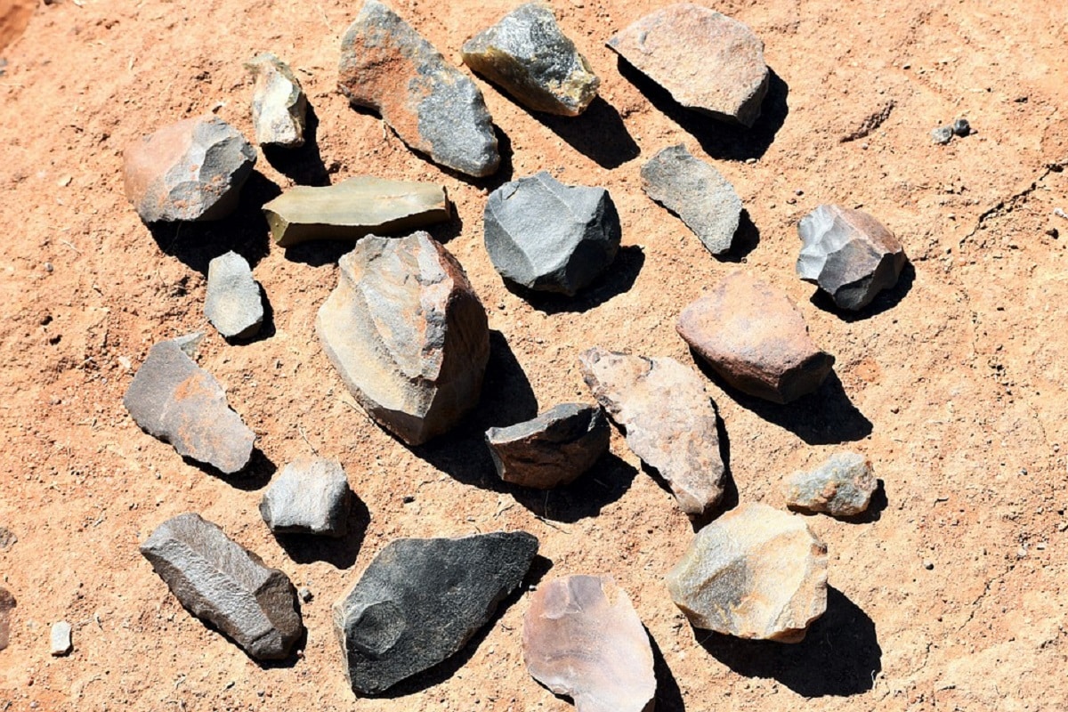 Environment, Middle Stone Age