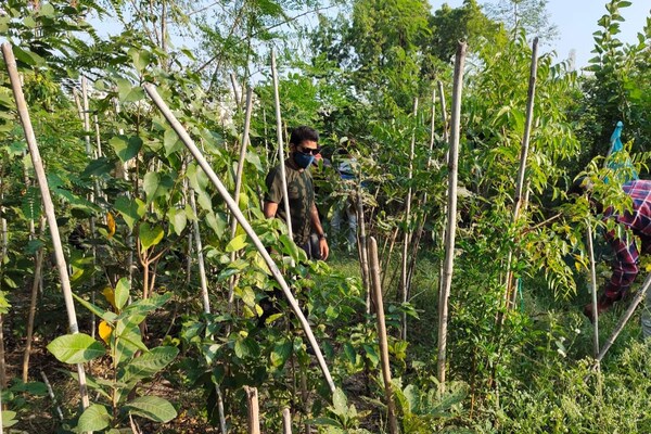 PHOTOS: प्रदूषित आबोहवा को जापानी 'मियावाकी वन पद्धति' से साफ करने में जुटे हैं उदयपुर के ये युवा