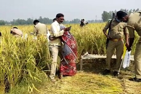 प्रतापगढ़ में दो विवाहिता का शव खेत में मिलने से मचा हड़कंप