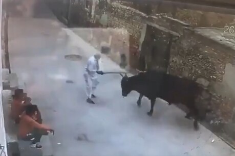बुजुर्ग को सांड ने उठाकर पटक दिया.
