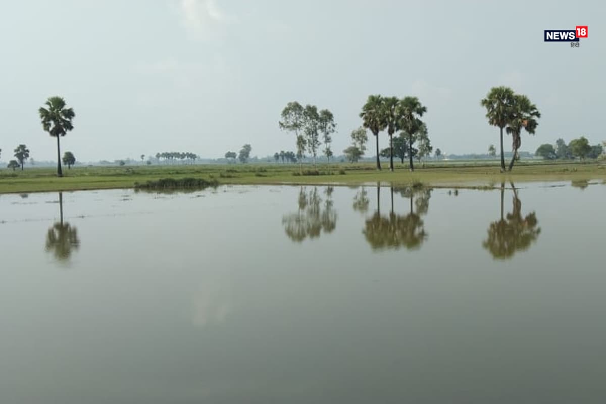 crop Loss due to Heavy Rains, Flood in up and bihar, paddy, Sugarcane, soybean, maize, farmers news, yogi government, nitish government, भारी बारिश के कारण फसलों का नुकसान, यूपी बिहार में बाढ़ से किसानों का नुकसान, धान, गन्ना, सोयाबीन, मक्का की खेती, किसान समाचार, योगी सरकार, नीतीश सरकार