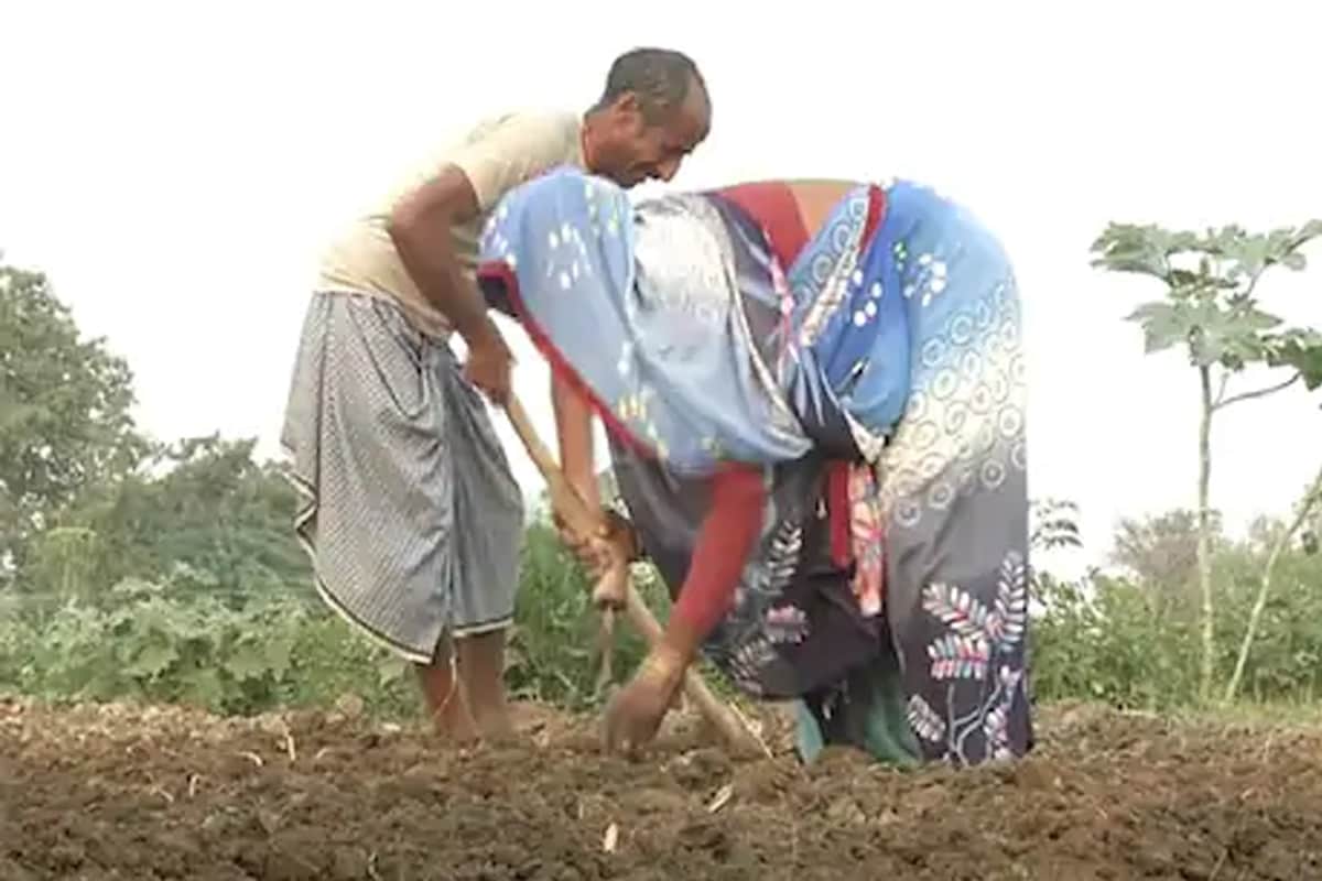 pradhan mantri kisan samman nidhi Scheme, pm kisan 7th installment news, kisan Samman Nidhi Yojna, Modi Government, Modi Government Scheme, PM Kisan Samman Nidhi Scheme, PM Kisan Samman Nidhi Yojana, Aadhaar Card Correction, प्रधानमंत्री किसान सम्मान निधि स्कीम, पीएम किसान स्कीम की 7वीं किश्त का समाचार, किसान सम्मान निधि योजना, मोदी सरकार, मोदी सरकार की योजना, प्रधानमंत्री किसान निधि योजना, आधार कार्ड सुधार