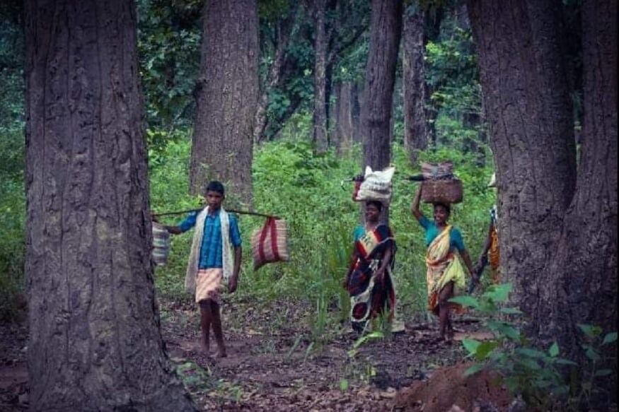 Opinion: विकास की दौड़ में पीछा छूटता पर्यावरण, 'उपभोग' पर लगा प्रश्न चिन्ह Opinion: विकास की दौड़ में पीछा छूटता पर्यावरण, 'उपभोग' पर लगा प्रश्न चिन्ह