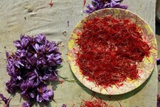 नक्सलियों के दबाव में करते थे अफीम की खेती, अब प्रशासन की पहल पर उपजाएंगे केसर