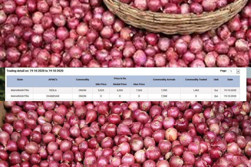 onion price hike, reason for increase onion rate, Nashik mandi rate, floods and Heavy Rain, major onion producing states, azadpur mandi bhav, Maharashtra, rain in telangana, andhra pradesh, onion Hoarding, प्याज की कीमतों में वृद्धि, नासिक मंडी में प्याज का भाव, प्याज का रेट बढ़ने का कारण, बाढ़ और भारी बारिश, प्रमुख प्याज उत्पादक राज्य, आजादपुर मंडी भाव, महाराष्ट्र, आंध्र प्रदेश, तेलंगाना में बारिश, प्याज की जमाखोरी