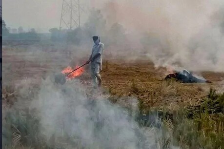 पंजाब में पराली जलाने की घटनाएं सामने आ रही हैं. (File Pic)