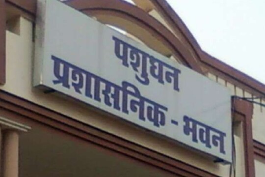 सांकेतिक तस्वीर