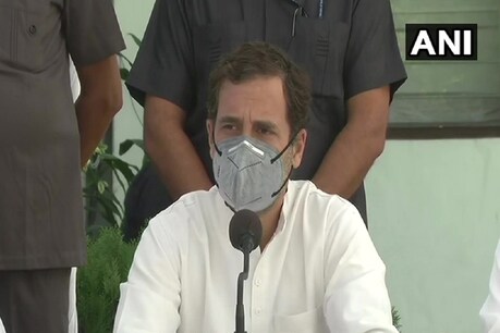 राहुल गांधी (ANI)