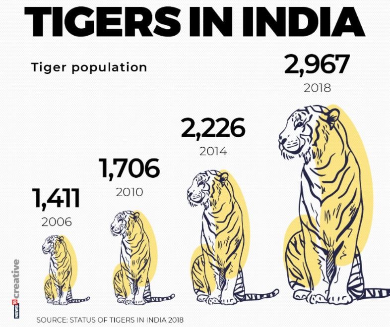 tiger zinda hai, ek tha tiger, tiger conservation, wildlife conservation, टाइगर जिंदा है, बाघ संरक्षण, वन्यजीव संरक्षण, बाघ और शेर