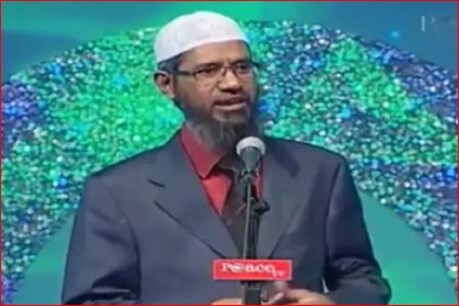 जाकिर नाइक ने कहा, 'अल्लाह के दूत को गाली देने वालों को एक दर्दनाक सजा मिलेगी.' (फाइल फोटो)