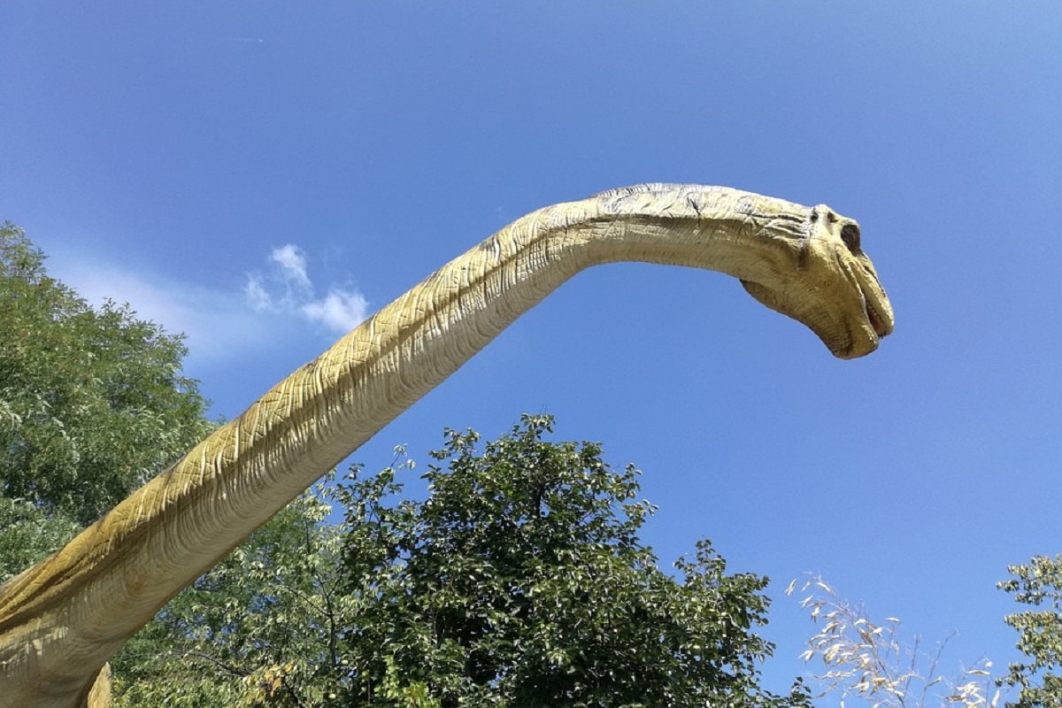 dinosaur, duckbill dinosaur, Africa, fossil,
