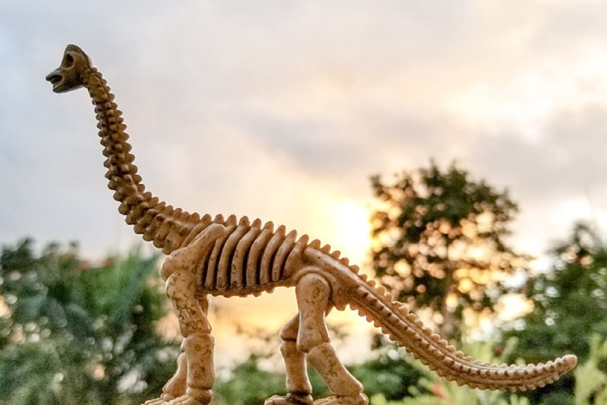 , dinosaur, duckbill dinosaur, Africa, fossil, Ocean, Palaeontology, Swimming,