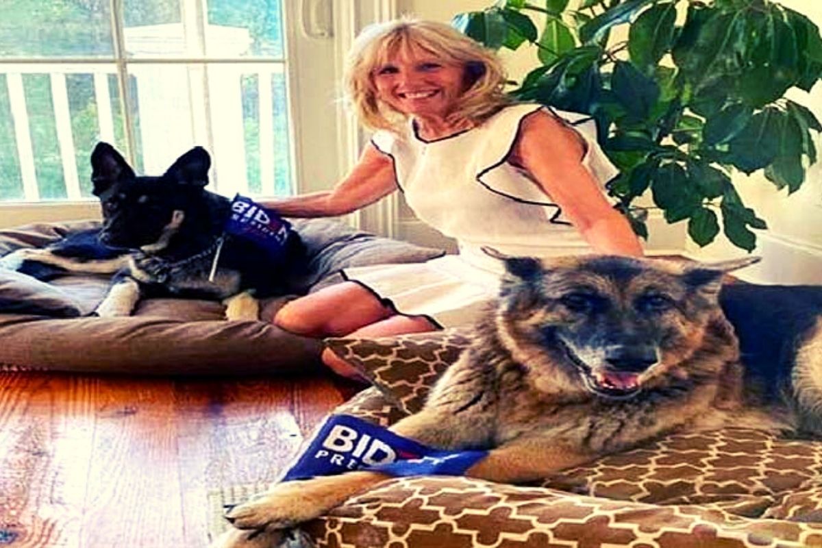 Jill Biden pet