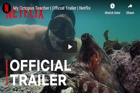 डॉक्यूमेंट्री फिल्म ‘माई ऑक्टोपस टीचर’ का एक पोस्टर. (Photo: Netflix)