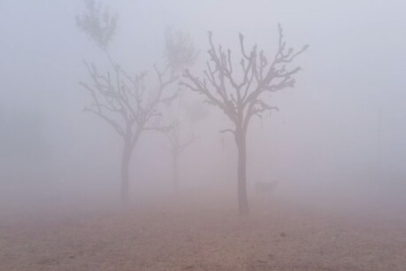 इसकी वजह से हवाओं का रुख उत्तरी होने लगा है. (सांकेतिक फोटो)