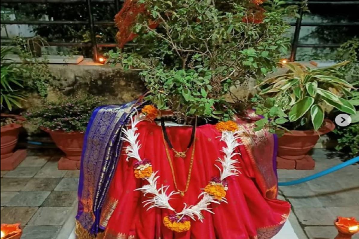 Tulsi Vivah 2020 Katha: तुलसी लेंगी 7 फेरे, पढ़ें तुलसी विवाह की पौराणिक कथा