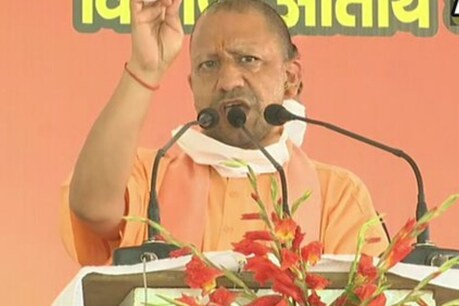 पशुओं का चारा खा जाने वाले कैसे देंगे रोजगार (file photo)