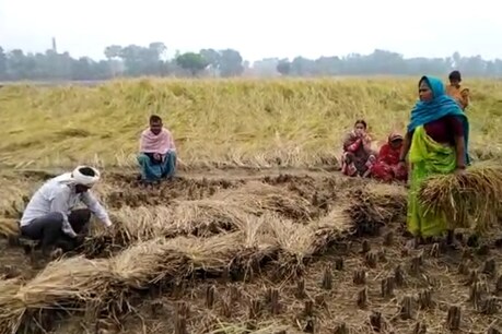 पीएम किसान सम्मान निधि योजना के तहत लघु और सीमांत किसानों को साल में 6 हजार रुपये दिये जाते हैं.