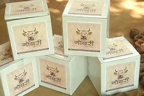 गाय के गोबर से बने इस डिस्टेंपर की मांग तेजी से बढ़ी रही है.