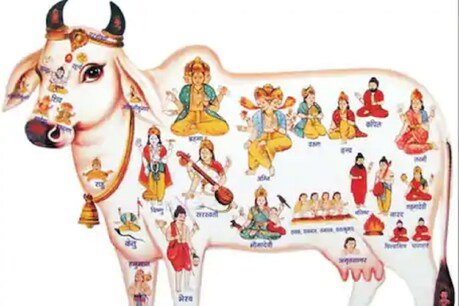 गौ माता में 33 करोड़ देवताओं का वास माना जाता है