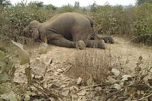 PHOTOS : जबलपुर के नज़दीक बरगी नगर से आयी ये दर्दनाक तस्वीर