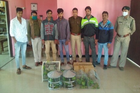 सभी 28 तोतो को जंगल में छोड़ दिया गया.