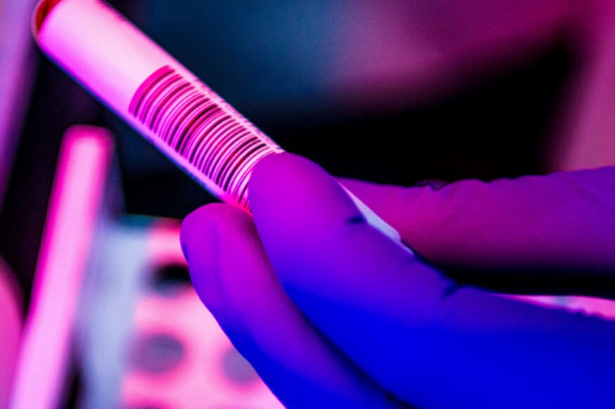 coronavirus vaccine