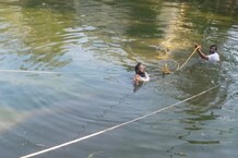 PHOTOS: मोहाली में साइकिल सीख रही 7 साल की बच्ची तालाब में गिरी, डूबने से मौत