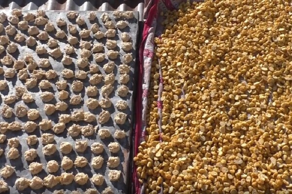 PHOTOS: विदेशों से भी आ रही है इम्युनिटी बढ़ाने वाली पहाड़ी बड़ियों की डिमांड... मुंहमांगे मिल रहे हैं दाम