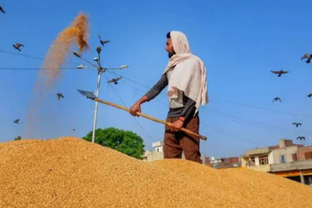 वर्ष 2020-21 में फसलों की रिकॉर्ड खरीद के लिए इमेज नतीजे