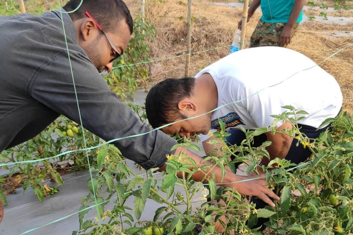 Dhoni ke khet ki sabji, धोनी के खेत की सब्जी, farmer dhoni, धोनी का किसान अवतार, Ranchi News, रांची न्यूज अपडेट,