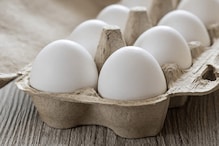 सर्दियों में फिर महंगा हुआ अंडा, तोड़ा 3 सालों का रिकॉर्ड, चेक करें रेटलिस्ट