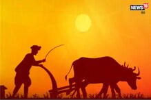 जबलपुर यूनिवर्सिटी ने बनाया MP की खेती का कृषि एटलस, शोधकर्ताओं को मिलेगी मदद