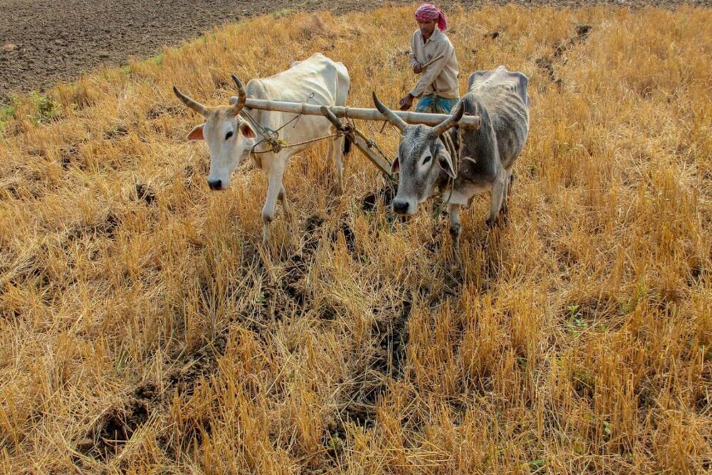 सर्वे रिपोर्ट के नतीजे तो किसान आंदोलन को लेकर कुछ और ही कह रहे हैं