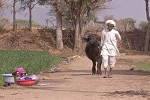 गहलोत सरकार ने पूरे किए दो साल, राजस्थान में किसानों के लिए यह पांच बड़े काम..