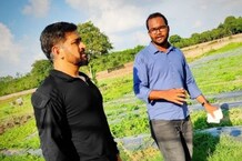 PHOTOS: धोनी के फार्म हाउस में मटर की तोड़ाई, गोभी और टमाटर के बाद खरीदारों को मटर की मिठास का इंतजार