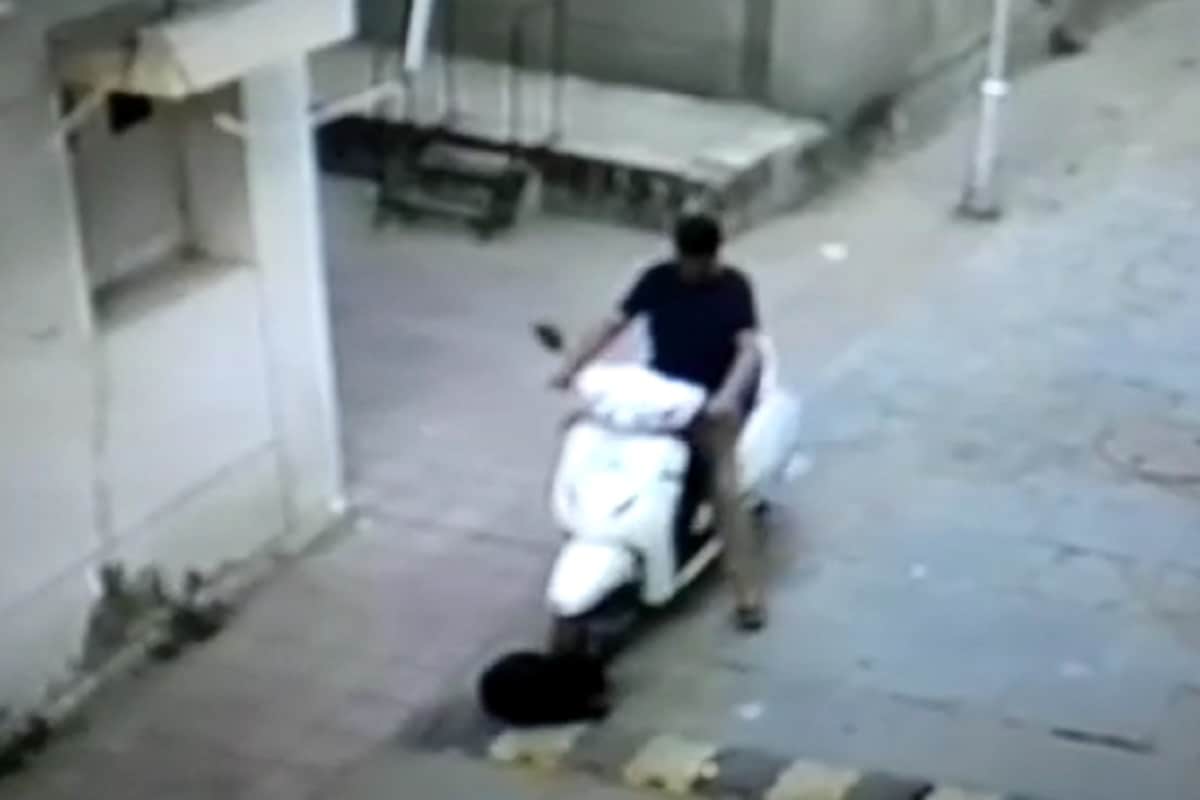 अहमदाबाद: सो रहे कुत्ते पर स्कूटी चढ़ाने की कोशिश, CCTV में कैद हुई दिल दहलाने वाली घटना