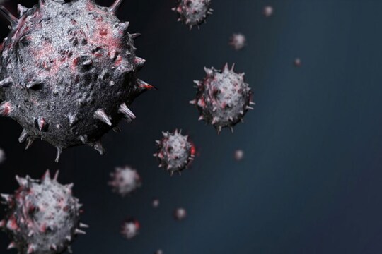 आरटी-पीसीआर परीक्षण में संक्रमण की पुष्टि होने के बाद मरीजों के नमूने उच्च स्तरीय जांच के लिए पुणे स्थित प्रयोगशाला भेजे गए हैं. (सांकेतिक तस्वीर)