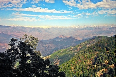  सर्दियों में बर्फ की चादर से ढके पेड़-पौधे आपके न्यू ईयर का मजा दोगुना कर देंगे. डलहौजी के नजारे. भारत के इस खूबसूरत डेस्टिनेशन को मिनी स्विट्जरलैंड भी कहां जाता है. यहां कि खूबसूरत पहाड़िया और प्रकृतिक नजारे आपका दिल चुरा लेंगे. आप दोस्तों और परिवार के साथ यहां की वादियों में नया साल मना सकते हैं.