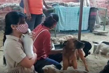 फिलहाल कुत्ते के इन बच्चों को जोधपुर नगर निगम के बाड़े में रखा गया है.