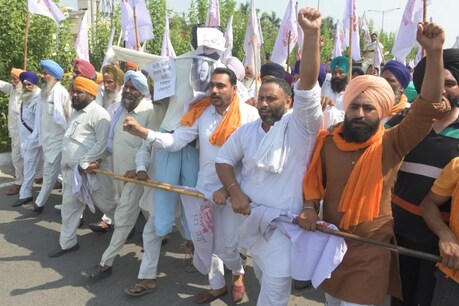 4 से 5 दिन का आलू है दिल्ली की मंडियों में