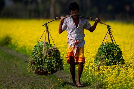 किसानों की बाजार में बढ़ेगी पहुंच. (Pic- AP)