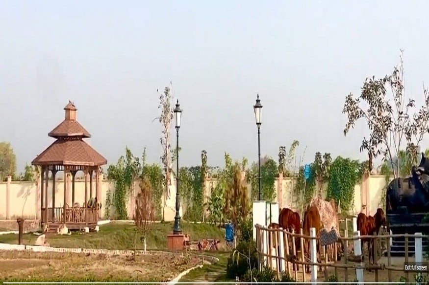 these comments are coming on social media about viral pictures of kumar