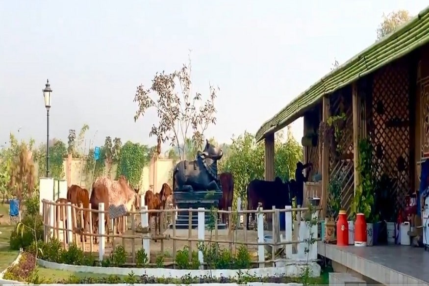 these comments are coming on social media about viral pictures of kumar