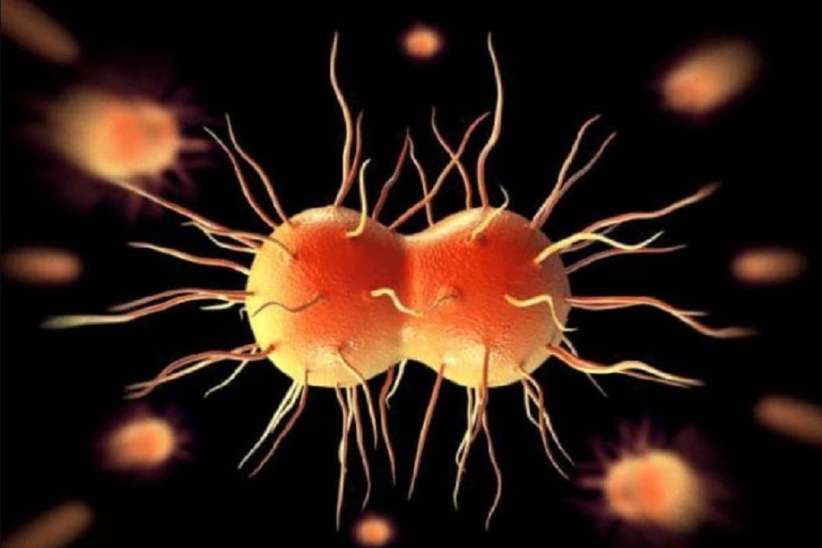 corona virus treatment, covid treatment, bacteria infection, sexually transmitted diseases, कोरोना वायरस इलाज, कोविड ट्रीटमेंट, बैक्टीरिया संक्रमण, लाइलाज बीमारियां